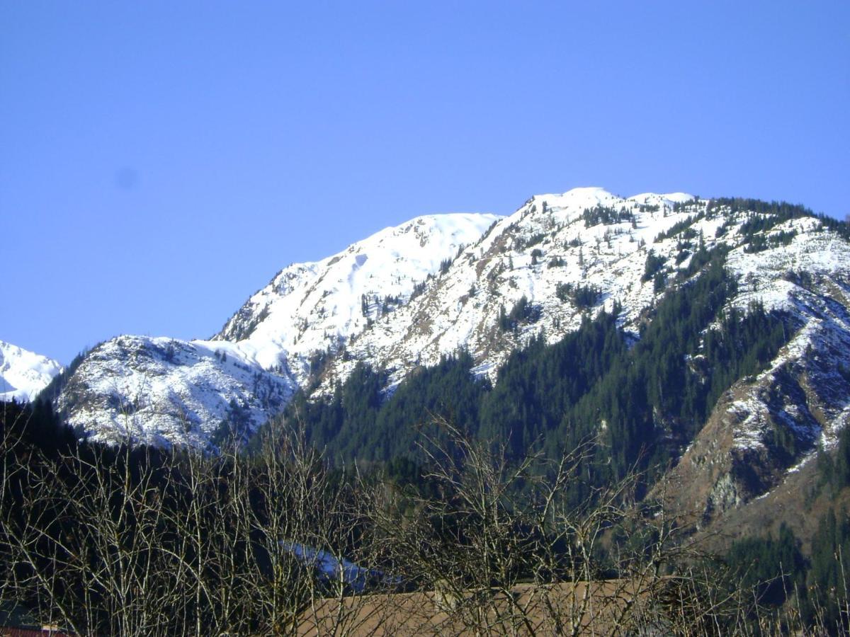 Ferienwohnung Fred Hollersbach im Pinzgau Eksteriør bilde